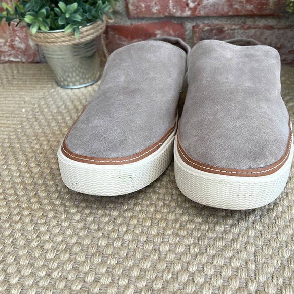 Beautiful Toms suede shoes size 11 - Picture 2 of 8